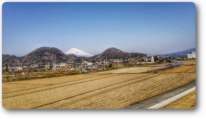 画像の説明 画像の説明